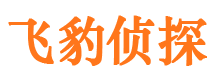 黑龙江市私家侦探